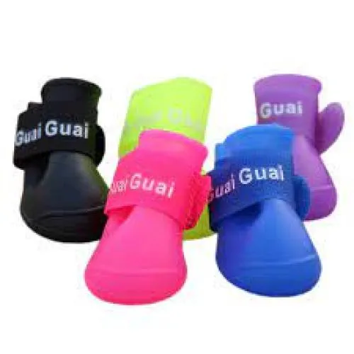 PET SHOES SİLİKON AYAKKABI 4 LÜ