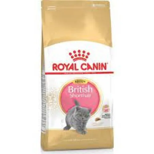 ROYAL CANIN KITTEN BRİTİSH SHORTHAİR 2 KG