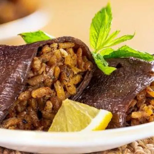 qr menü restoran kafe kare kod hijyenik menü