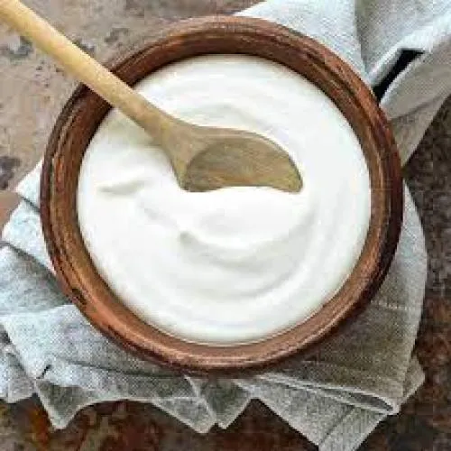 YOĞURT