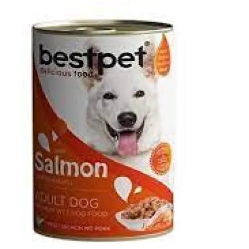 BESTPET KONSERVE SOMONLU 400 GR