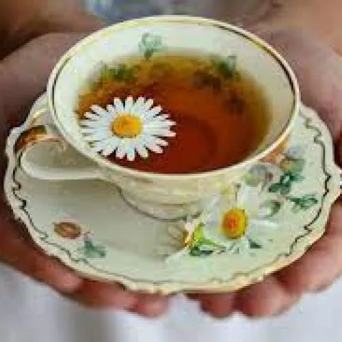 papatya çayı