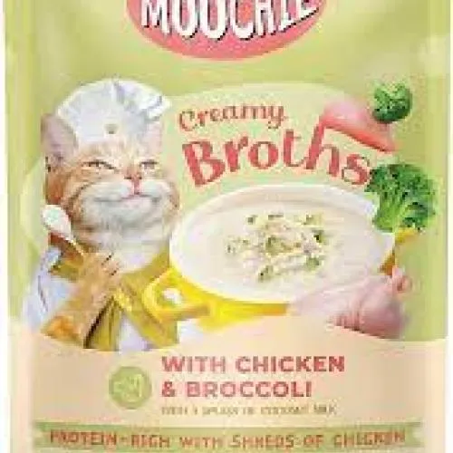 KEDİ ÇORBALARI